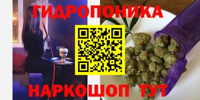 молекула духа Ставрополь