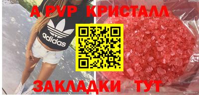 молекула духа Ставрополь