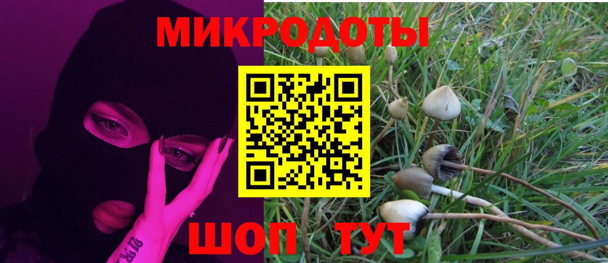 Белая Калитва  Галлюциногенные грибы Psilocybine cubensis  Вход с VPN 